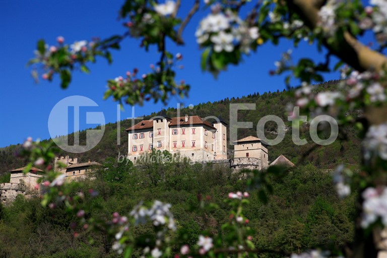 Thun Schloss