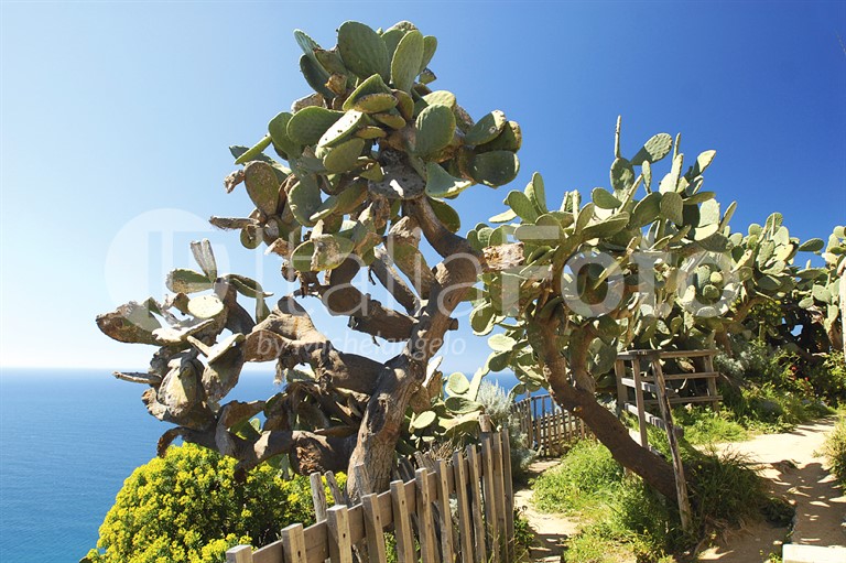 Capo Vaticano - Kalabrien 