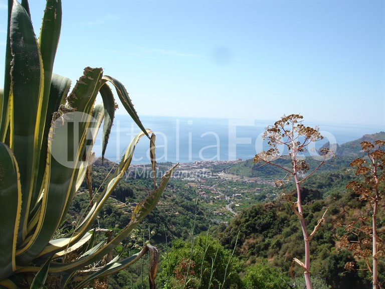Sizilien-Savoca