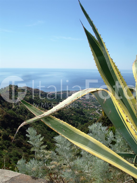 Sizilien-Savoca