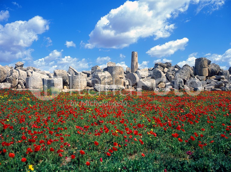 Sizilien-Selinunte