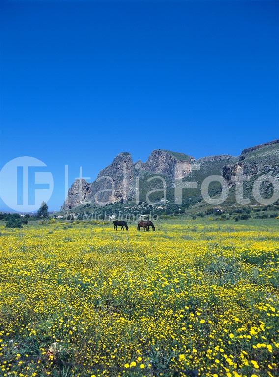 Sizilien-Trapani