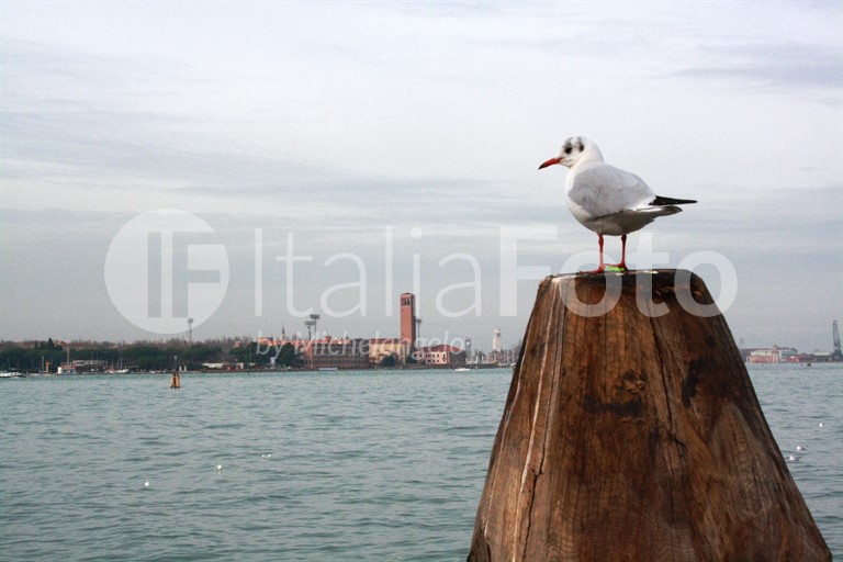 Venetien-Venedig
