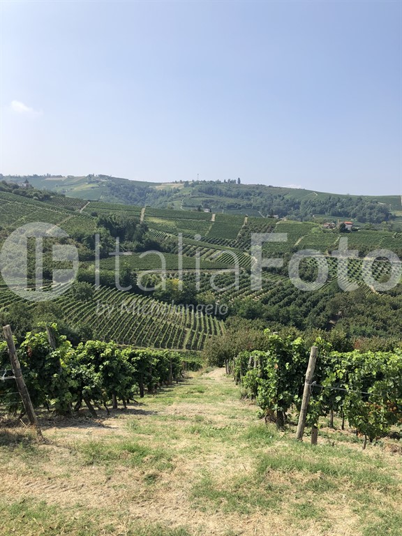Piemont-Castiglione Tinella