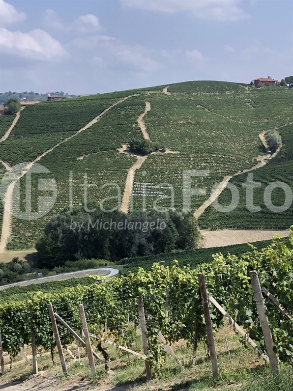 Piemont-Castiglione Tinella