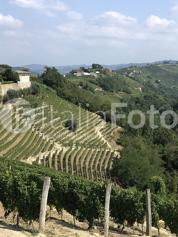 Piemont-Castiglione Tinella