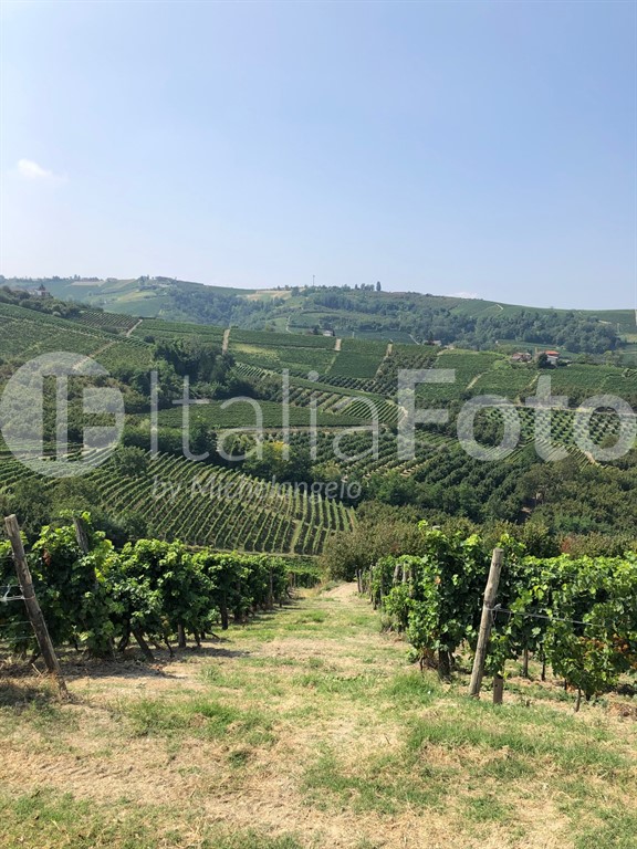 Piemont-Langhe
