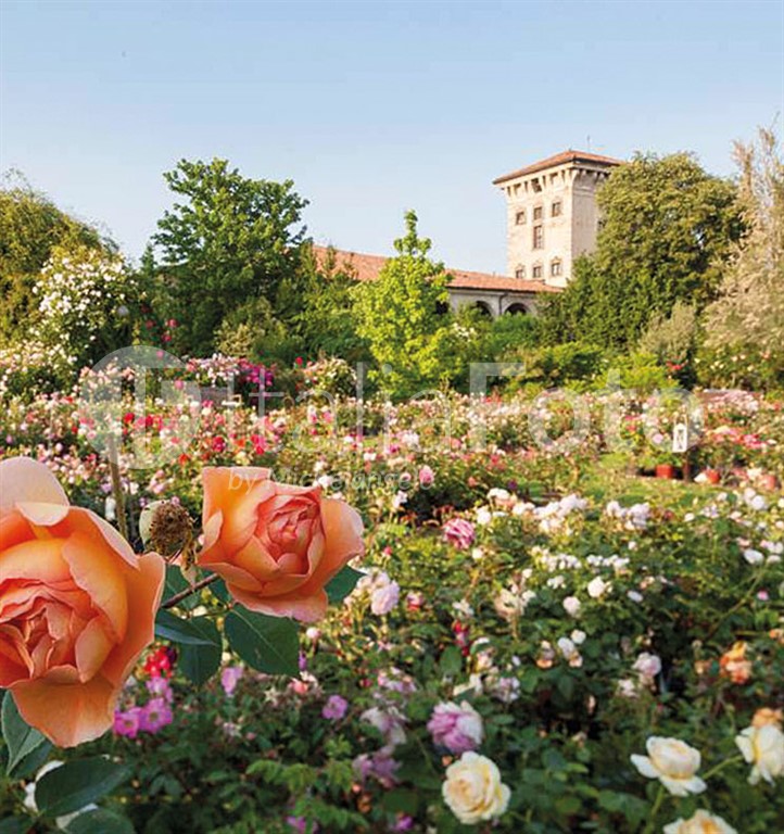 Lombardei-Franciacorta