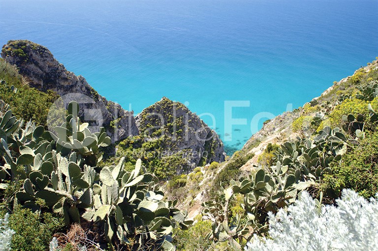 Capo Vaticano