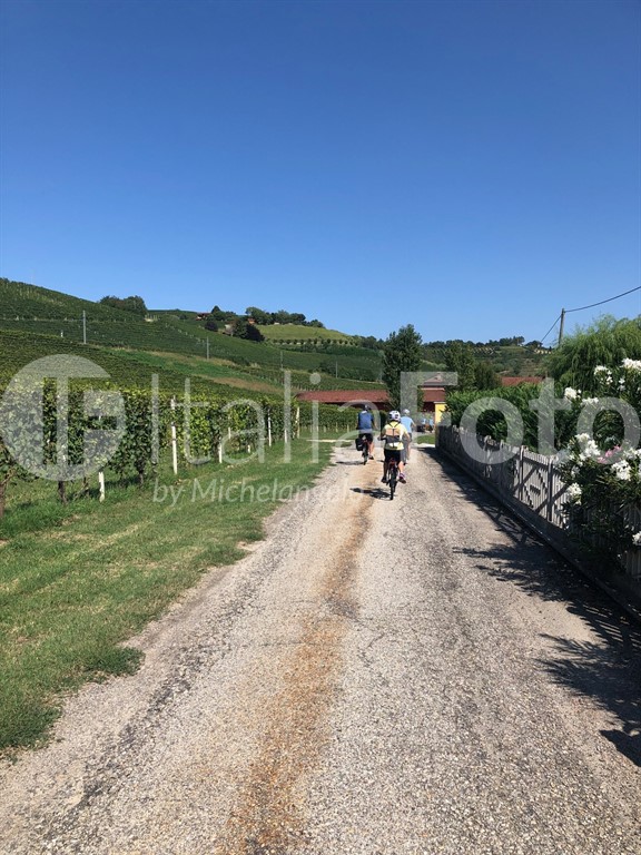 Activo (Piemont)