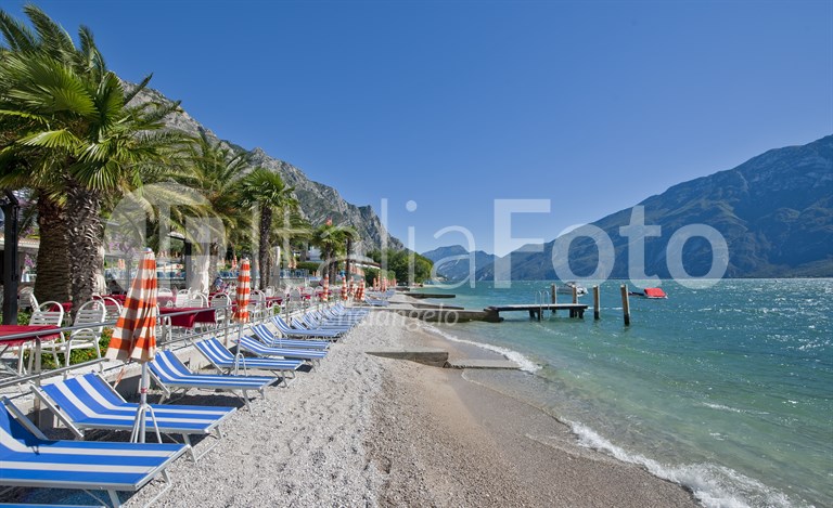 Ideal - Limone